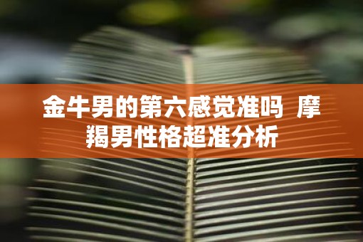 金牛男的第六感觉准吗  摩羯男性格超准分析