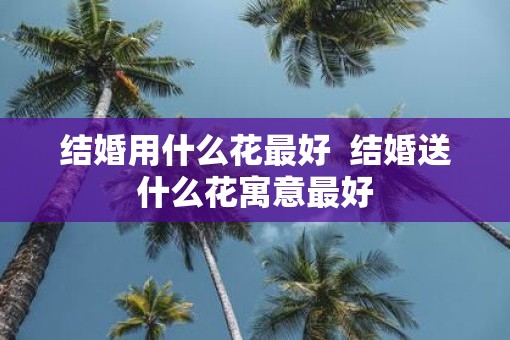 结婚用什么花最好 结婚送什么花寓意最好 结婚用什么花最好 结婚送什么花寓意最好