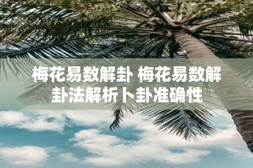 梅花易数解卦 梅花易数解卦法解析卜卦准确性