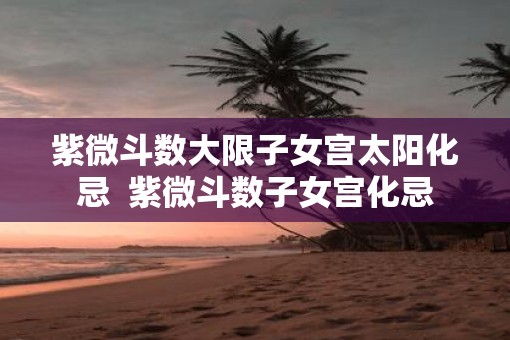 紫微斗数大限子女宫太阳化忌  紫微斗数子女宫化忌