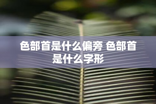 色部首是什么偏旁 色部首是什么字形