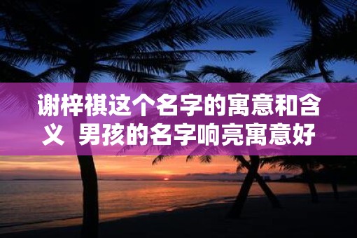 谢梓祺这个名字的寓意和含义  男孩的名字响亮寓意好