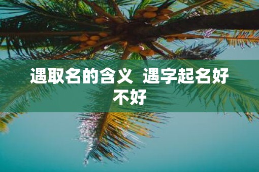 遇取名的含义  遇字起名好不好