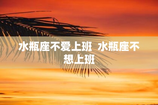 水瓶座不爱上班  水瓶座不想上班