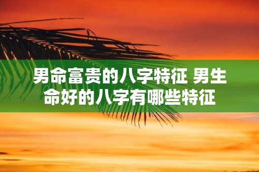 男命富贵的八字特征 男生命好的八字有哪些特征