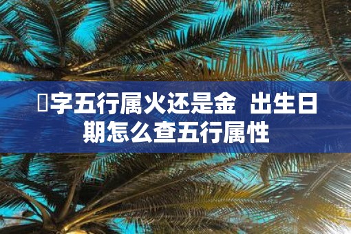 璟字五行属火还是金  出生日期怎么查五行属性