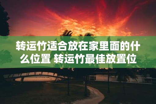 转运竹适合放在家里面的什么位置 转运竹最佳放置位置是哪里