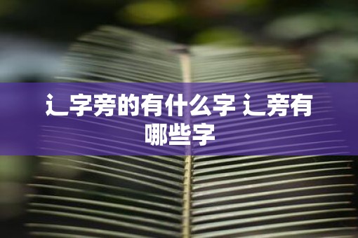 辶字旁的有什么字 辶旁有哪些字