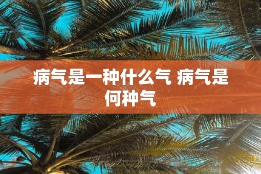 病气是一种什么气 病气是何种气