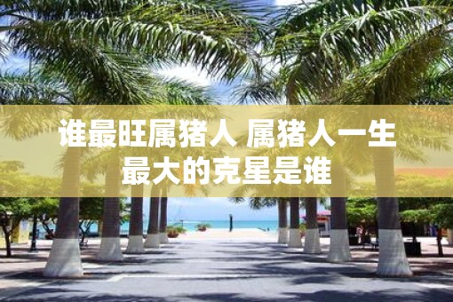 谁最旺属猪人 属猪人一生最大的克星是谁
