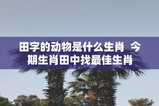 田字的动物是什么生肖  今期生肖田中找最佳生肖