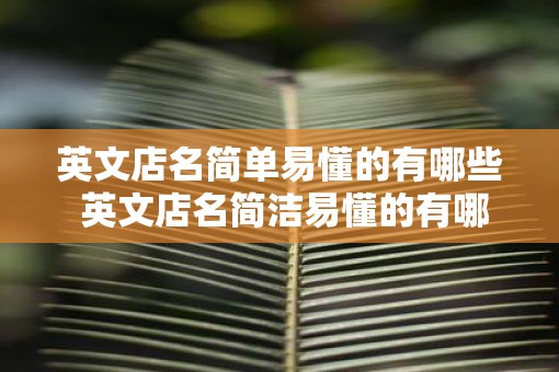 英文店名简单易懂的有哪些 英文店名简洁易懂的有哪些