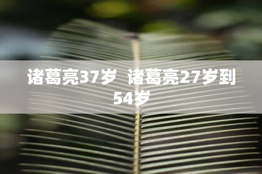 诸葛亮37岁  诸葛亮27岁到54岁
