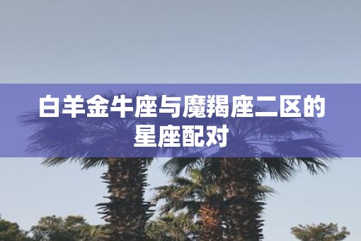 白羊金牛座与魔羯座二区的星座配对