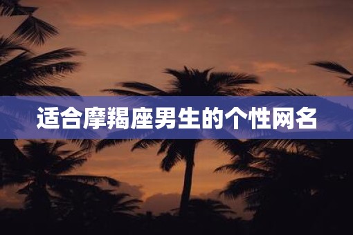 适合摩羯座男生的个性网名