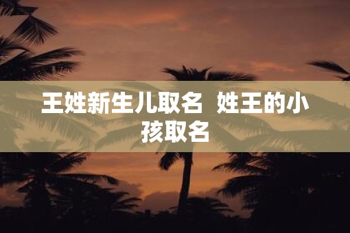 王姓新生儿取名 姓王的小孩取名 王姓新生儿取名 姓王的小孩取名
