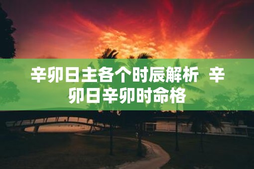 辛卯日主各个时辰解析  辛卯日辛卯时命格