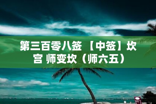 第三百零八签 【中签】坎宫 师变坎（师六五）