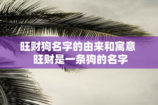 旺财狗名字的由来和寓意  旺财是一条狗的名字