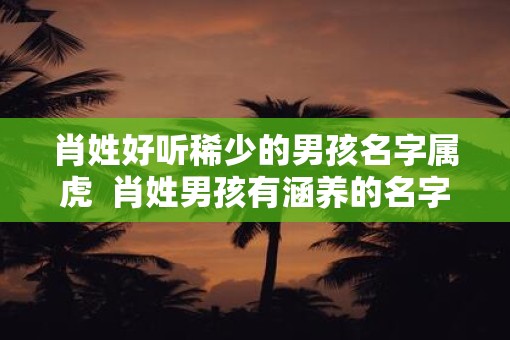 肖姓好听稀少的男孩名字属虎  肖姓男孩有涵养的名字