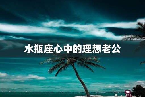 水瓶座心中的理想老公