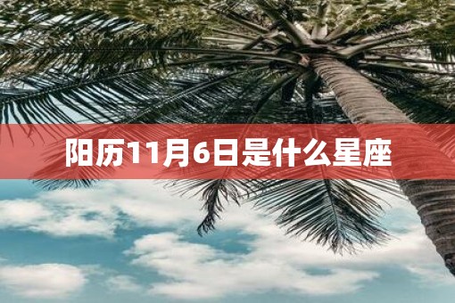阳历11月6日是什么星座