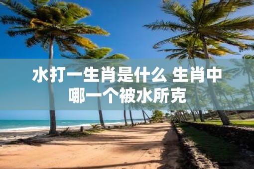 水打一生肖是什么 生肖中哪一个被水所克