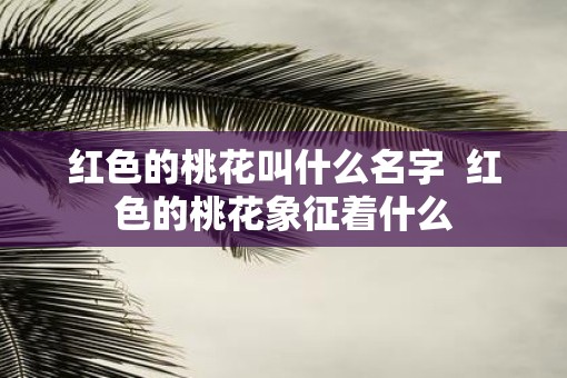 红色的桃花叫什么名字  红色的桃花象征着什么