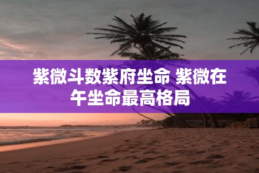 紫微斗数紫府坐命 紫微在午坐命最高格局