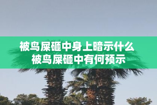 被鸟屎砸中身上暗示什么 被鸟屎砸中有何预示