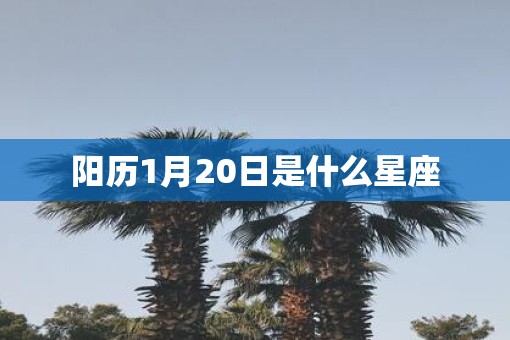 阳历1月20日是什么星座