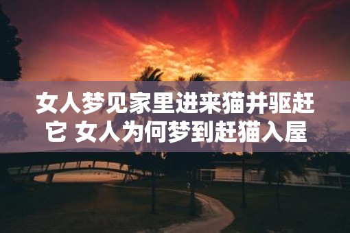 女人梦见家里进来猫并驱赶它 女人为何梦到赶猫入屋