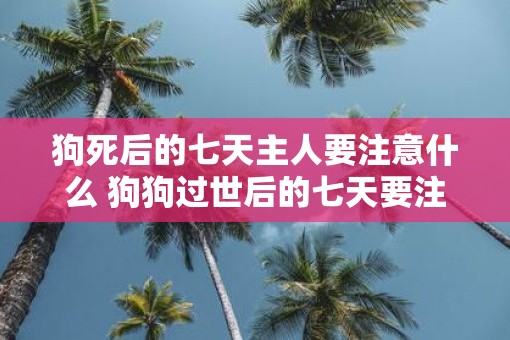 狗死后的七天主人要注意什么 狗狗过世后的七天要注意什么