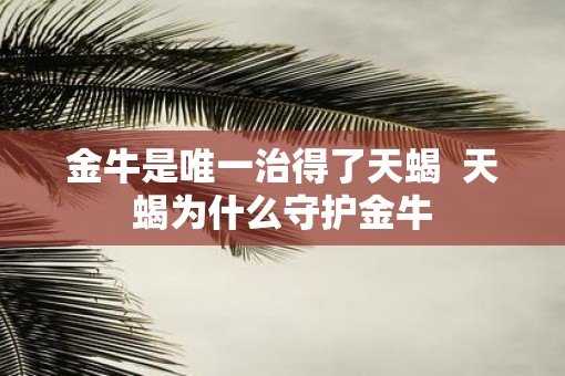 金牛是唯一治得了天蝎  天蝎为什么守护金牛