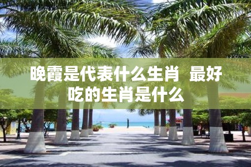 晚霞是代表什么生肖  最好吃的生肖是什么