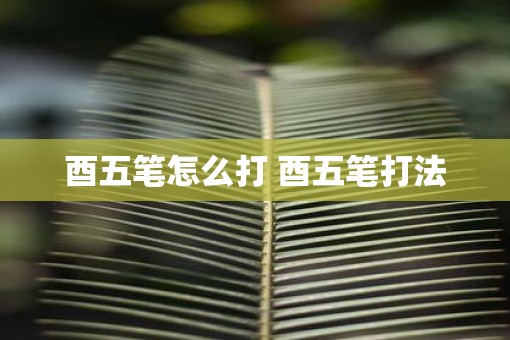 酉五笔怎么打 酉五笔打法