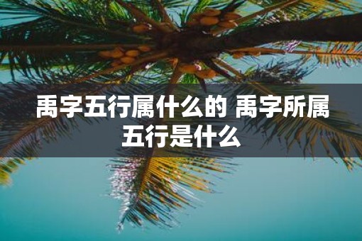 禹字五行属什么的 禹字所属五行是什么