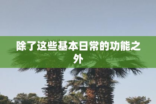 除了这些基本日常的功能之外