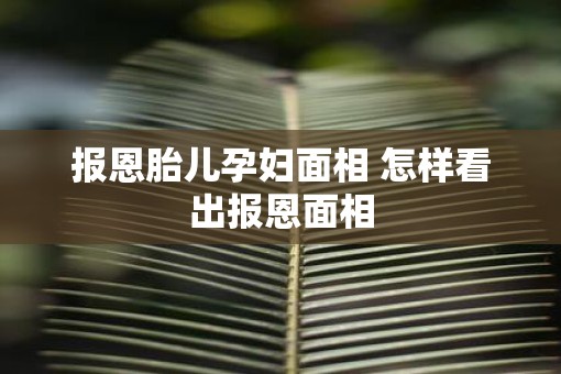 报恩胎儿孕妇面相 怎样看出报恩面相