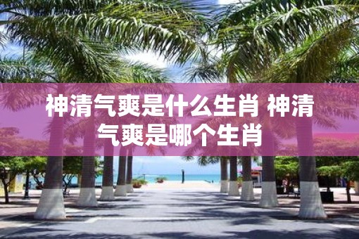 神清气爽是什么生肖 神清气爽是哪个生肖