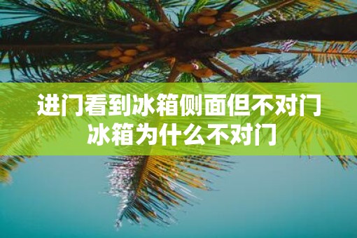 进门看到冰箱侧面但不对门 冰箱为什么不对门