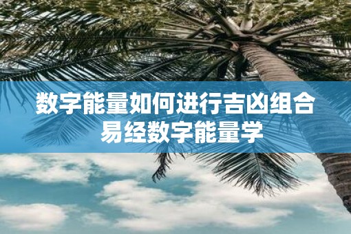 数字能量如何进行吉凶组合  易经数字能量学