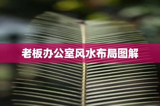 老板办公室风水布局图解