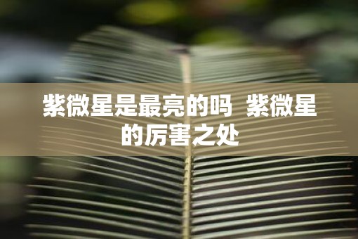紫微星是最亮的吗  紫微星的厉害之处