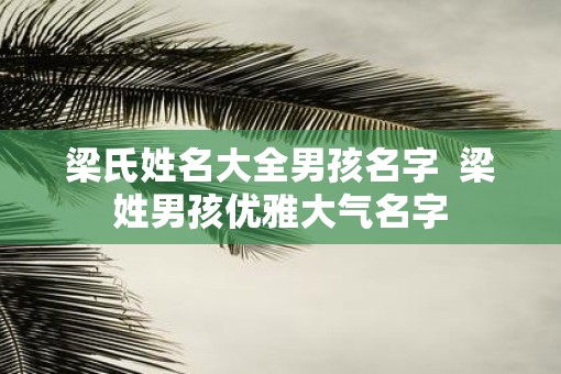 梁氏姓名大全男孩名字  梁姓男孩优雅大气名字