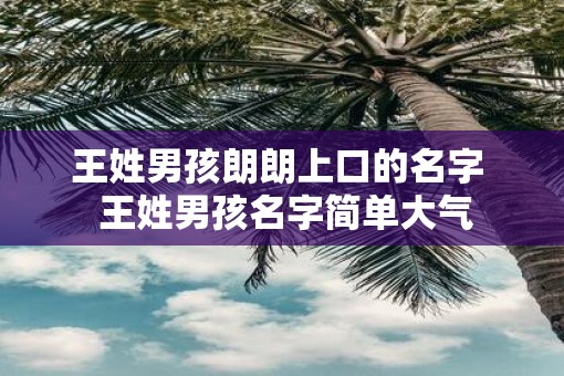 王姓男孩朗朗上口的名字  王姓男孩名字简单大气