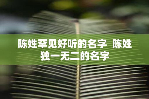 陈姓罕见好听的名字  陈姓独一无二的名字