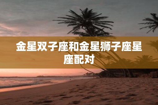金星双子座和金星狮子座星座配对