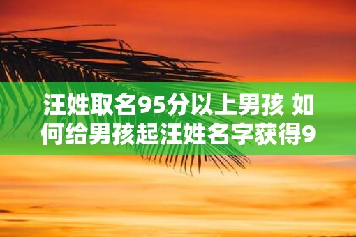 汪姓取名95分以上男孩 如何给男孩起汪姓名字获得95分以上