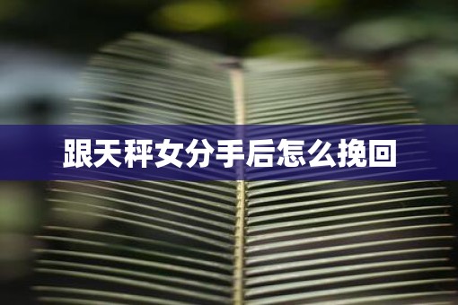 跟天秤女分手后怎么挽回